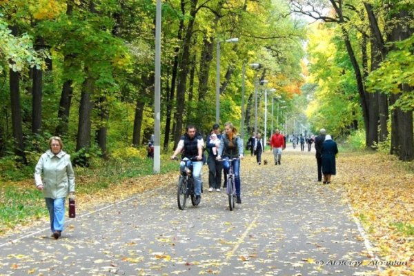 Парк Олимпийская аллея Пенза