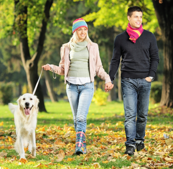 Прогулка с собакой