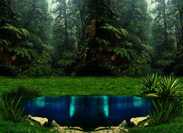 Сказочное озеро в лесу