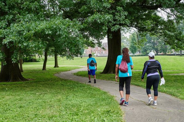 Пешие прогулки по парку