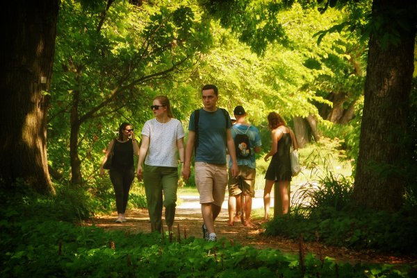 Люди в парке