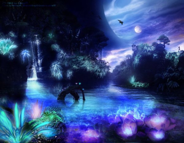 Сказочная ночь