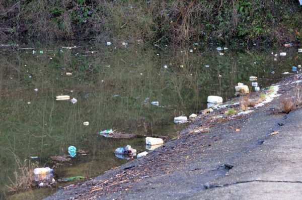 Загрязненные Родники