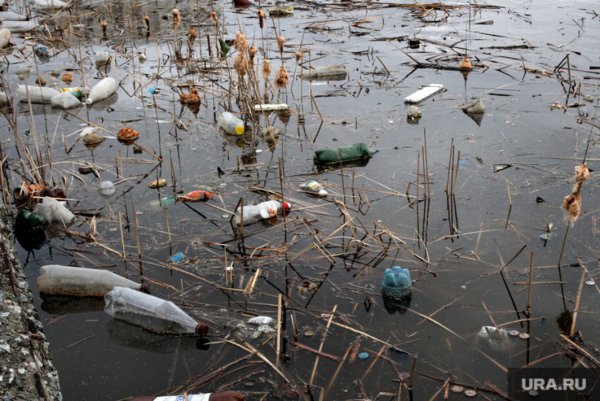 Загрязнение рек мусором