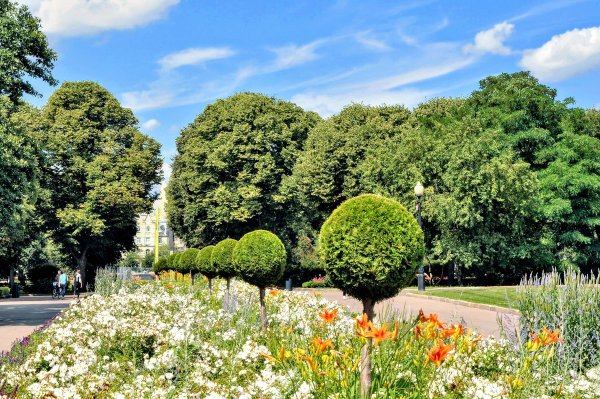Парк Горького Москва деревья