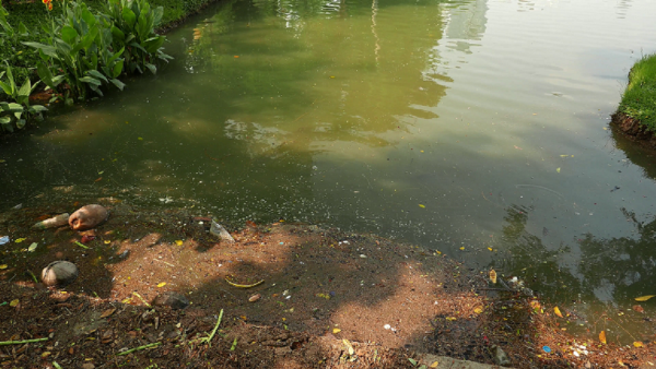 Загрязнение водоемов для детей