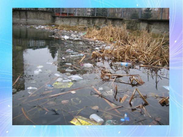 Загрязнение водоемов