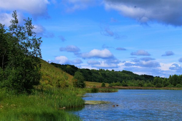 Гляжу в озера синие
