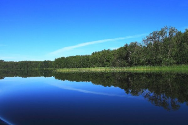 Гляжу в озера синие