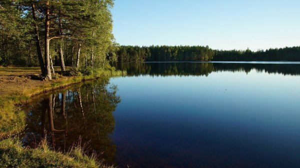 Озеро Березовое Карелия
