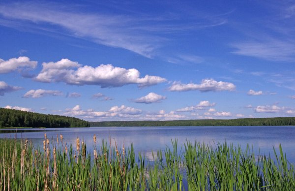 Гляжу в озера синие