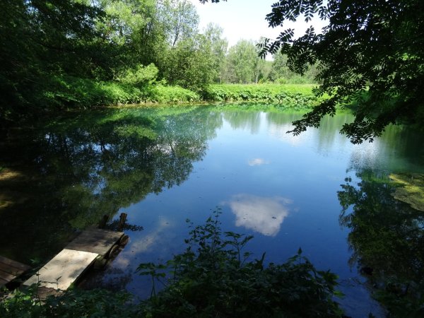 Голубое озеро Солецкий район