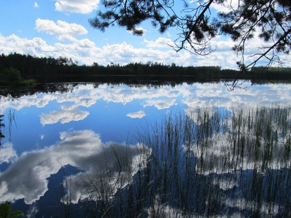 Вознесенский Зов озера