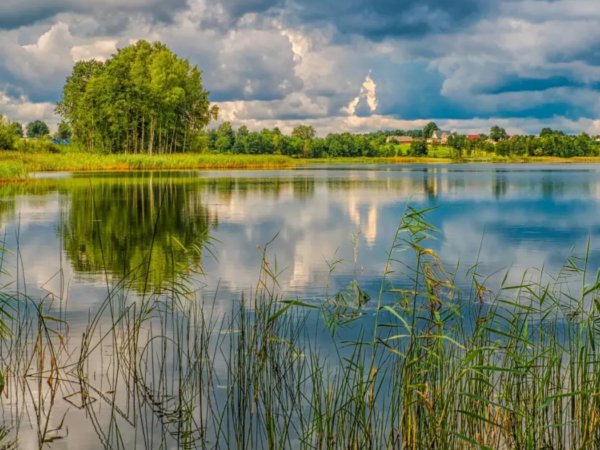 Водяная гладь