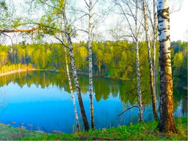 Воронцова, озёра синие