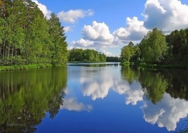 Лесное озеро Томск