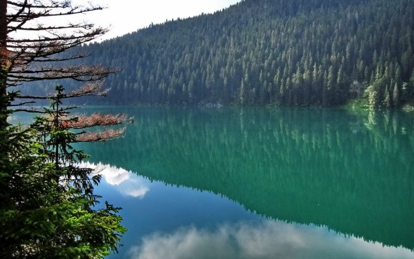 Озеро чёрное кеогравскай области