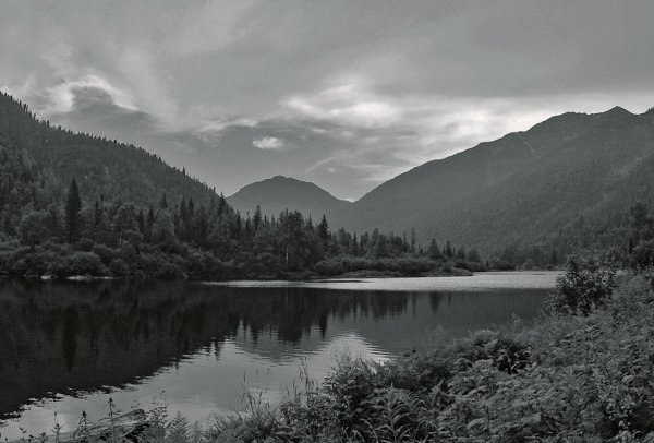 Баргузинский заповедник чб
