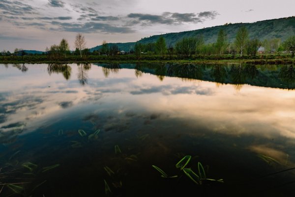 Чёрное озеро Щелковский район
