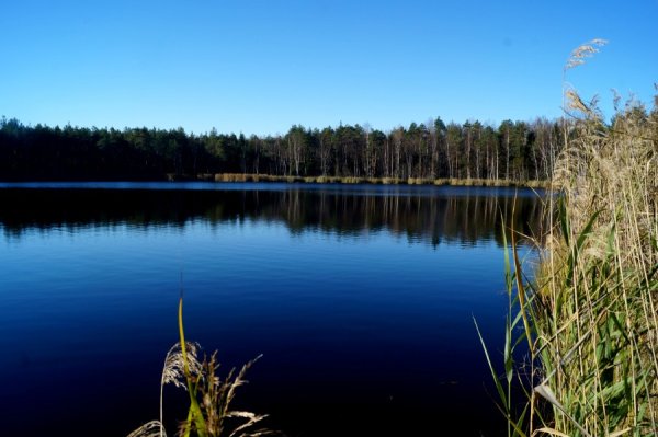 Озеро черное (Таковец)