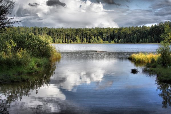 Черное озеро Вельск