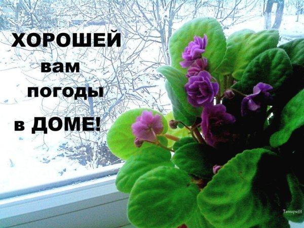 Хорошей погоды в доме