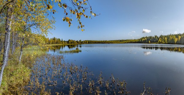 Озеро черное Свердловская область