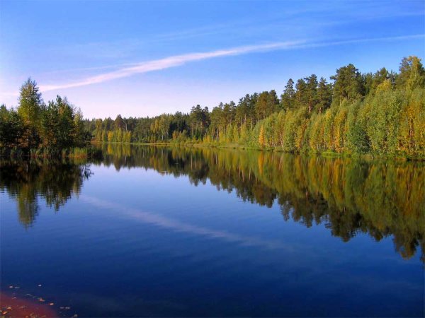 Брест черное озеро