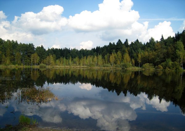 Черное озеро Зеленоград