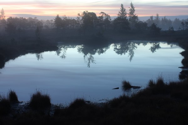 Озеро Солодовское Ленинградская область рыбалка