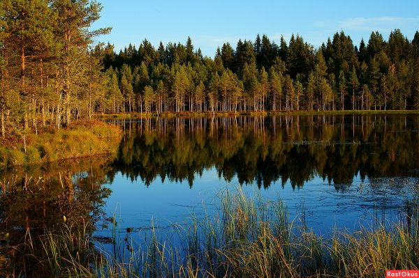 Чёрное озеро Владимирская область