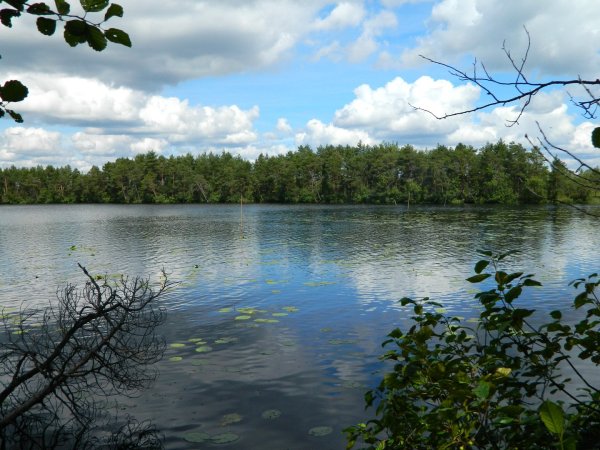 Озеро черное Медынский район