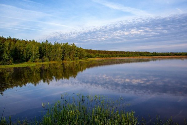 Мещера леса и озера Рязань