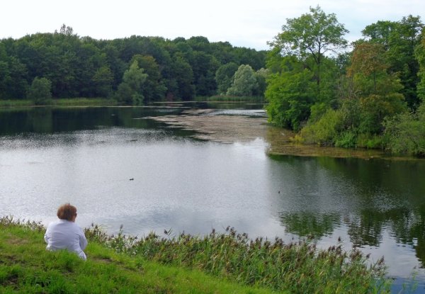 Чёрное озеро (Гатчина)