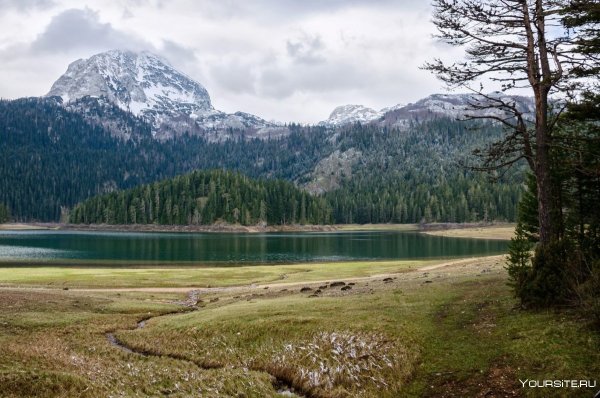 Черногория заповедник Дурмитор