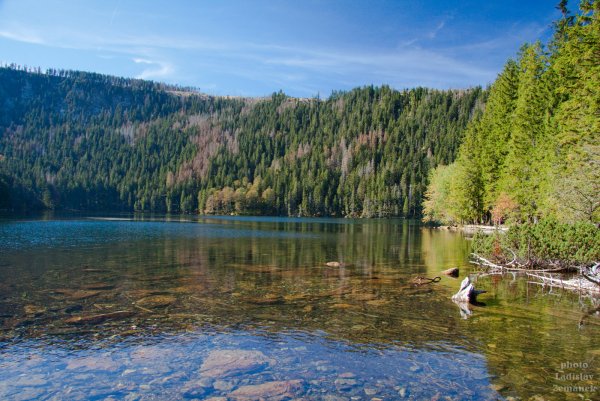 Чёрное озеро Йошкар Ола