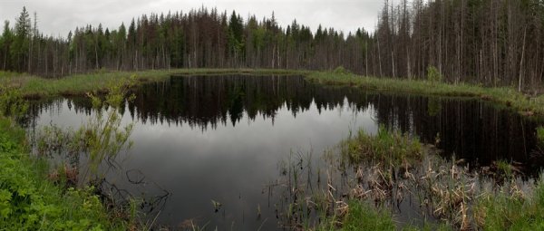 Черное Торфяное озеро