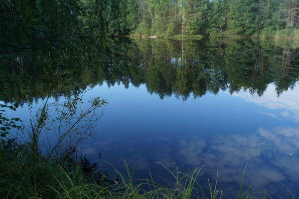 Озеро земснаряд Куровское