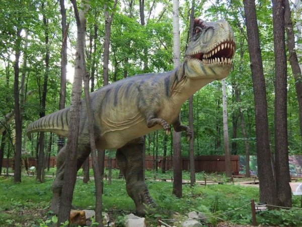 Парк динозавров «Затерянный мир», Динопарк
