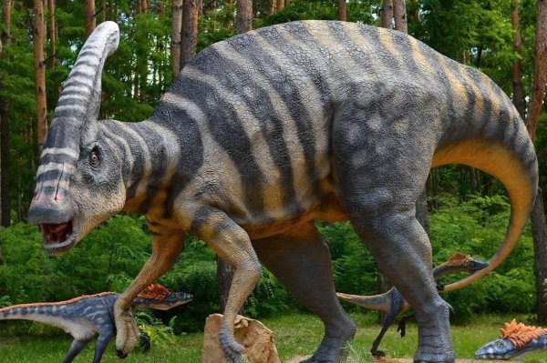 Дино Белгород Динопарк