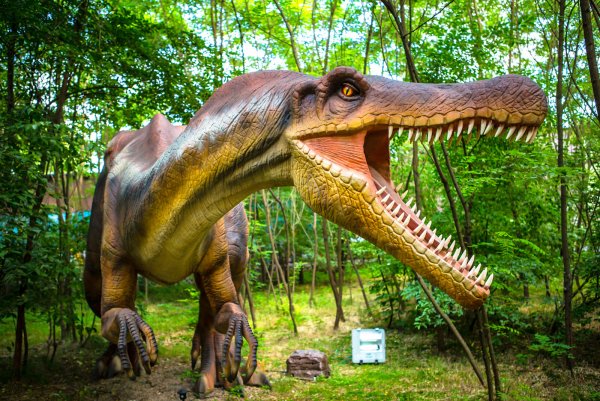 Парк динозавров Дайносор