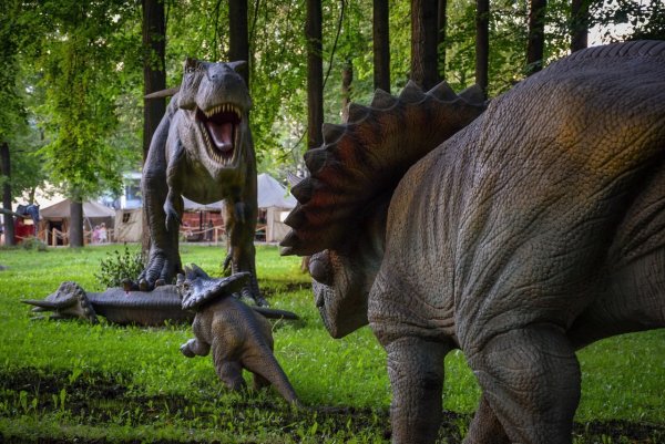 Парк динозавров тайны мира Ярославль