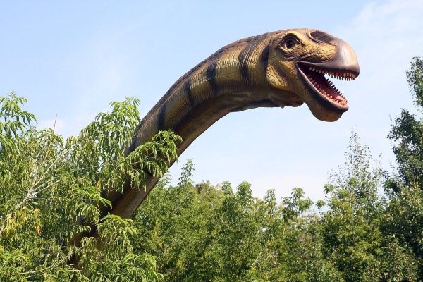 Динопарк в Москве