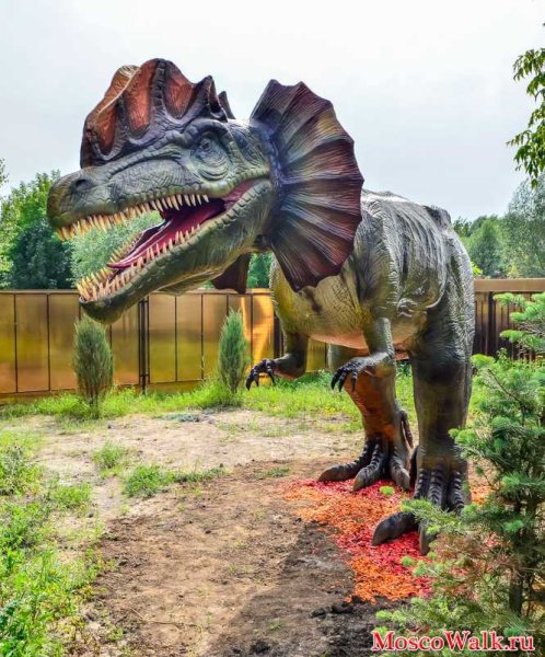 Динопарк Крылатское