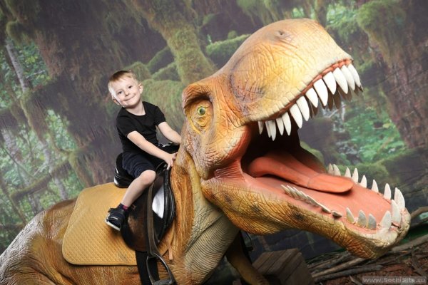 Дино клуб Сочи парк