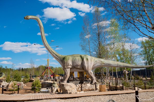 Музей парк динозавров в Москве