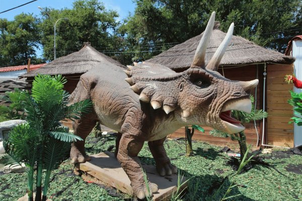 Динопарк рекс — парк динозавров в Анапе