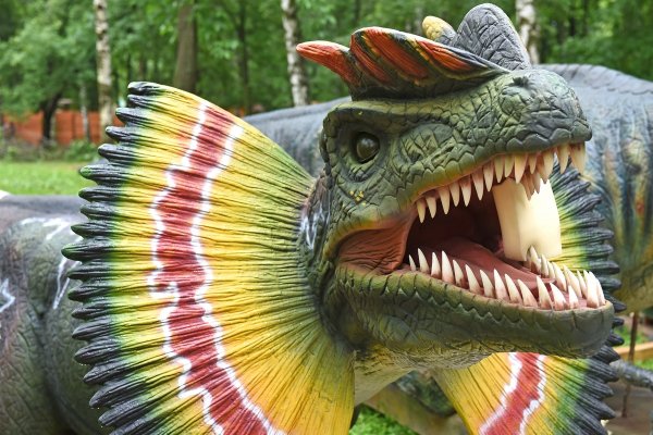 Динопарк Ярославль