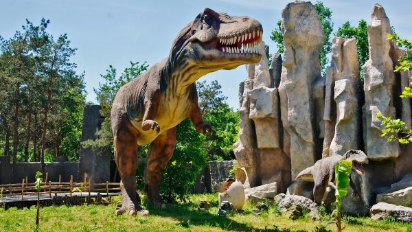 Краснодарский зоопарк сафари-парк