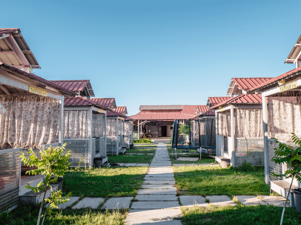 Алаколь зона Алмаз бриллиант